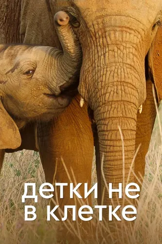 Детки не в клетке (2022) смотреть онлайн