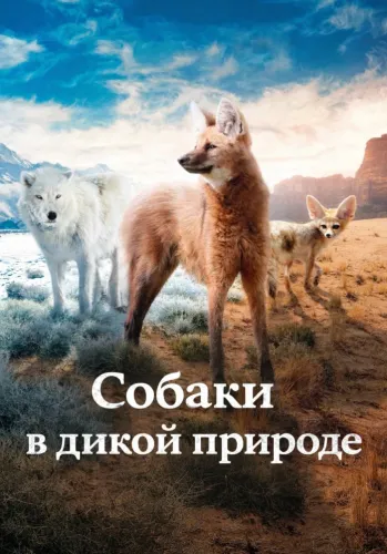 Собаки в дикой природе (2022) смотреть онлайн